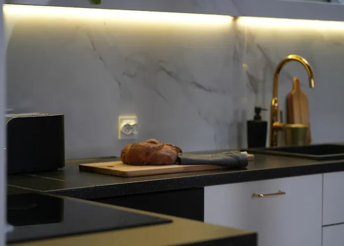 Flowers By Kramm -apartament W Centrum Poznania דירה